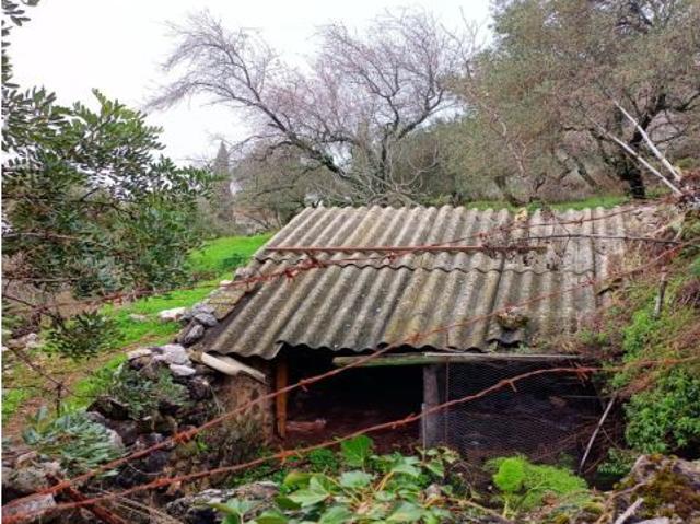 Local Comercial en venta en Sierra de Cádiz, Andalucía
