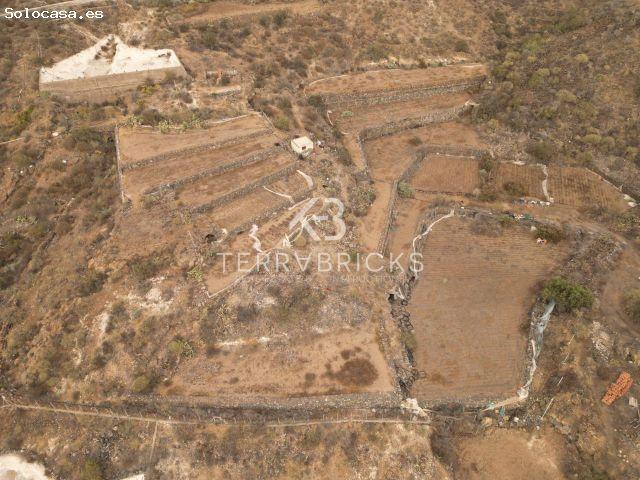 Local Comercial en venta en Guía de Isora, Canarias
