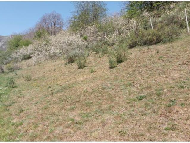 Local Comercial en venta en Pesaguero, Cantabria