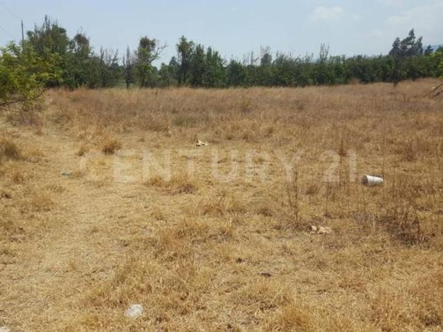 Terreno en venta en San Salvador El Verde, Puebla