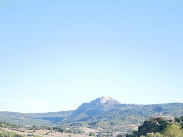 Local Comercial en venta en Sierra de Cádiz, Andalucía