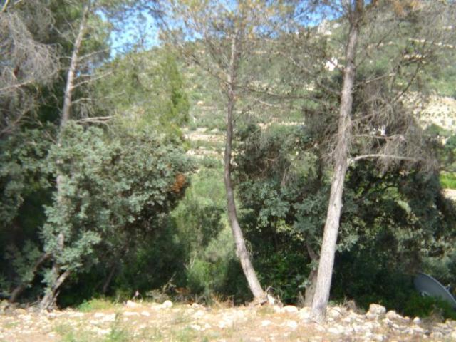 Terreno en venta en la Marina Alta, Valencia
