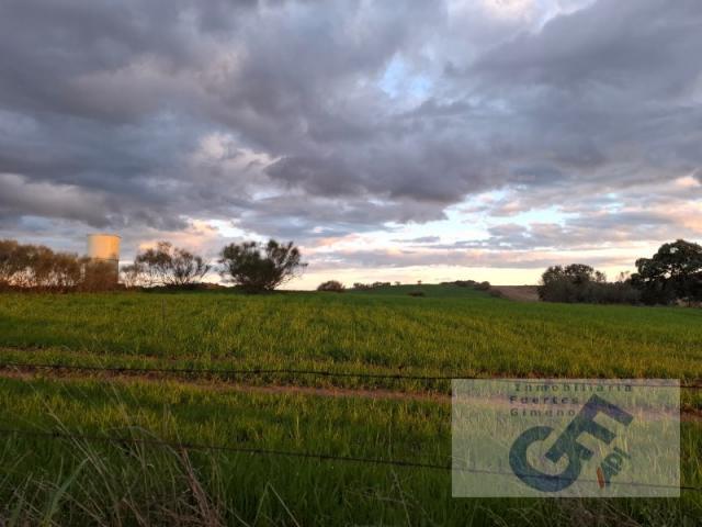 Terreno en venta en Alcaracejos, Andalucía
