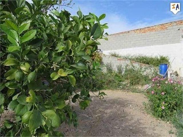 Terreno en venta en Alcaudete