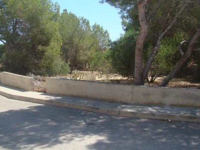 Terreno en venta en Algorfa