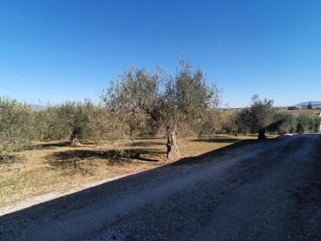 Terreno en venta en Alhaurín El Grande