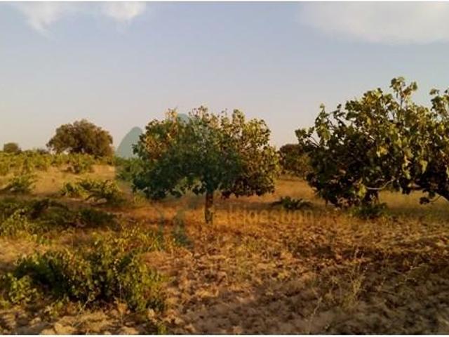 Terreno en venta en Arroyo De La Luz, Extremadura