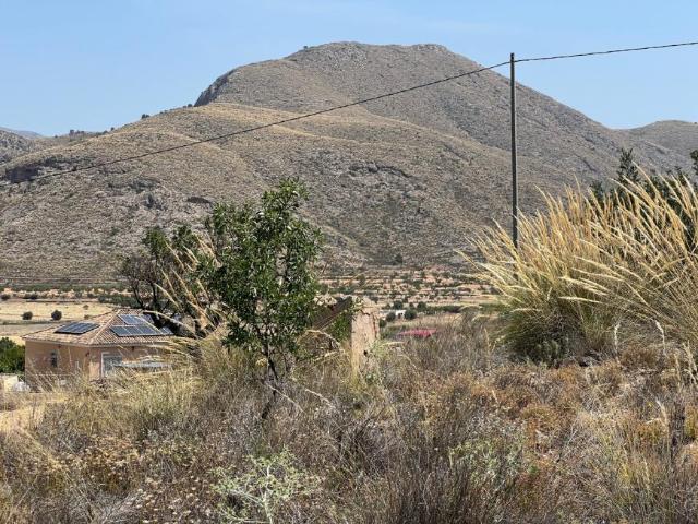 Terreno en venta en Barbarroja, el Baix Segura / La Vega Baja