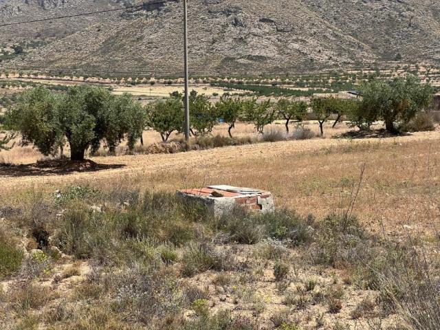 Terreno en venta en Barbarroja, el Baix Segura / La Vega Baja