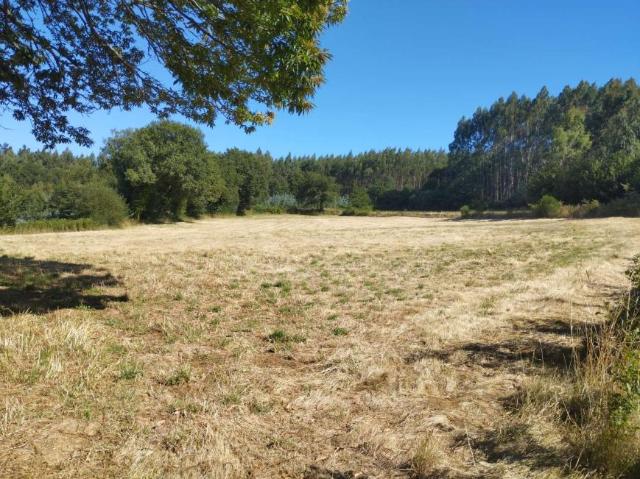 Terreno en venta en Baldomar, Terra Chá