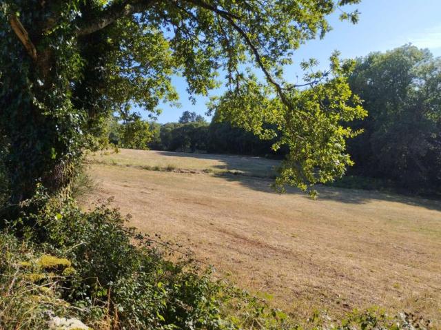 Terreno en venta en Baldomar, Terra Chá