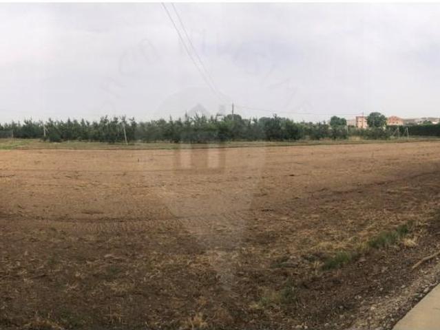 Terreno en venta en Bellpuig