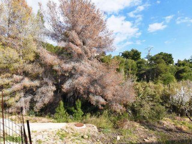 Terreno en venta en Benissa
