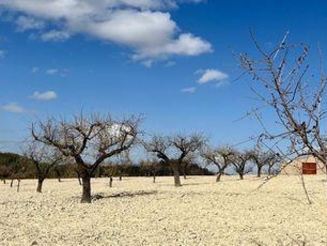 Terreno en venta en Noroeste, Murcia