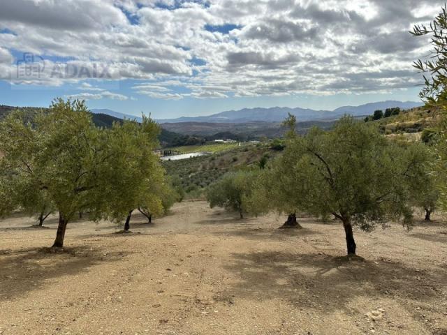 Terreno en venta en Casarabonela