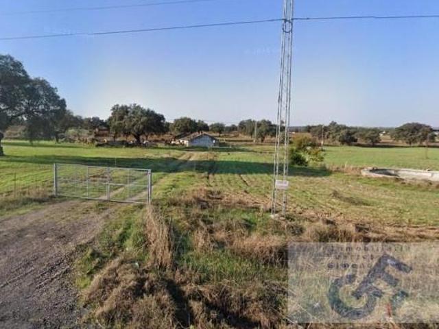 Terreno en venta en Dos Torres, Andalucía