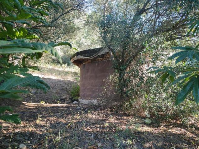 Terreno en venta en Serranía de Ronda, Andalucía