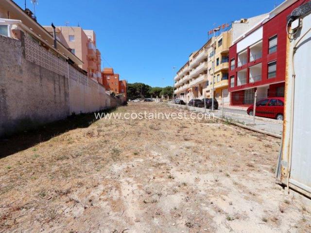 Terreno en venta en el Baix Segura / La Vega Baja, Valencia