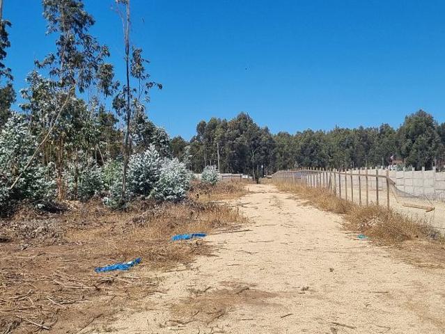 Terreno en venta en Puchuncaví, Valparaíso