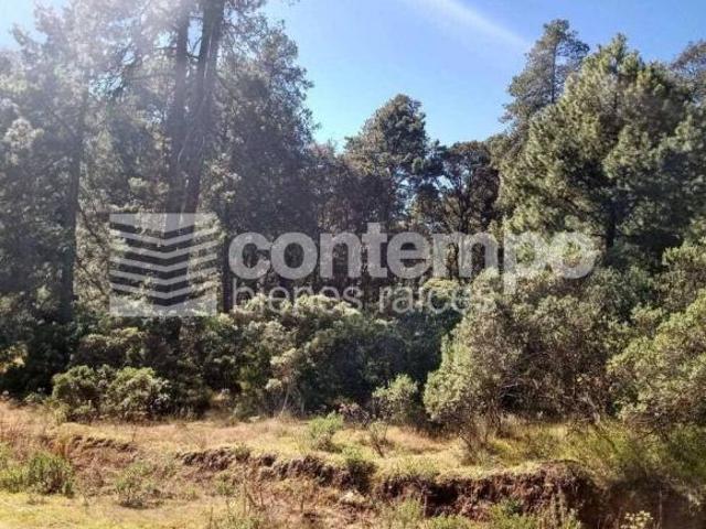 Terreno en venta en Atlacomulco, Estado de México