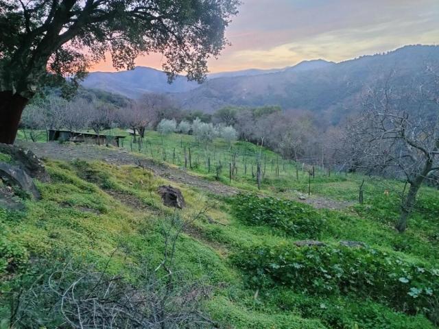 Terreno en venta en Serranía de Ronda, Andalucía