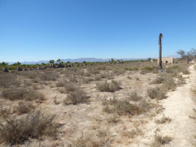 Terreno en venta en la Marina, el Baix Vinalopó