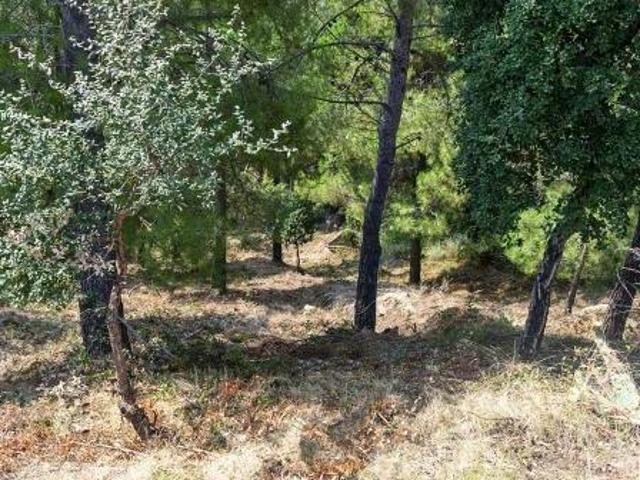 Terreno en venta en la Selva, Catalunya