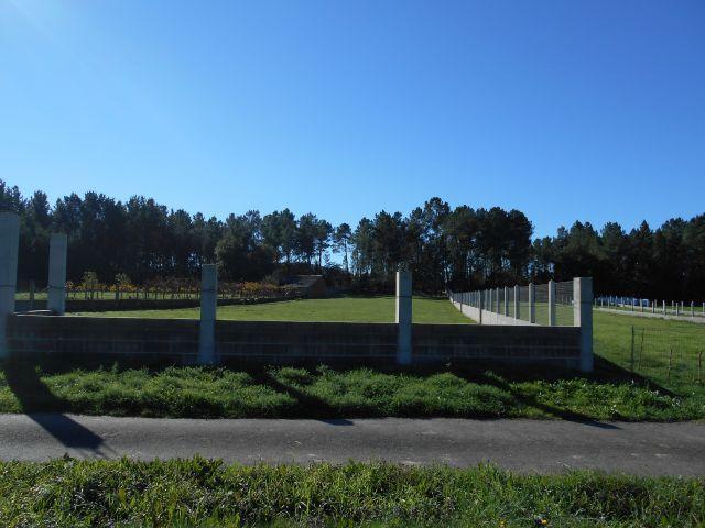 Terreno en venta en Monforte De Lemos, Reboredo