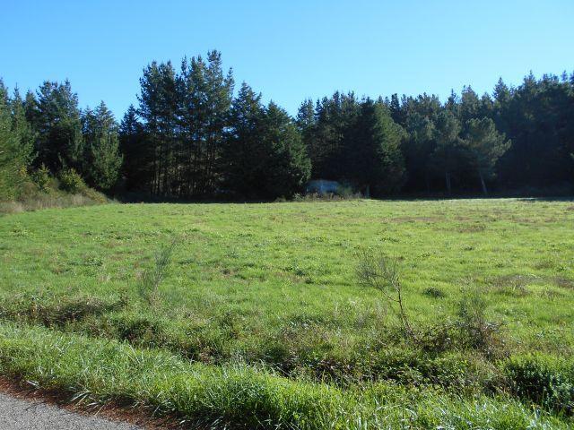 Terreno en venta en Terra de Lemos, Galicia