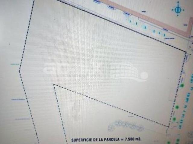 Terreno en venta en Montilla, Andalucía
