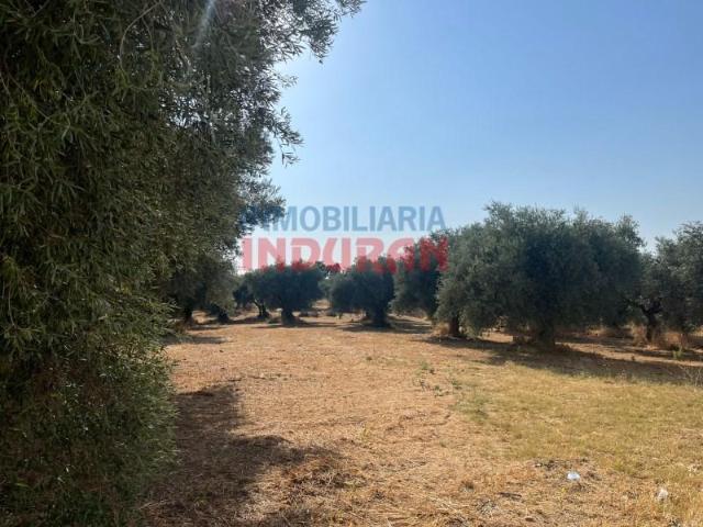 Terreno en venta en Peraleda De La Mata, Extremadura