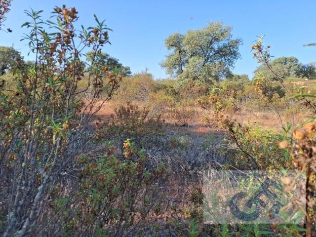 Terreno en venta en Pozoblanco, Andalucía