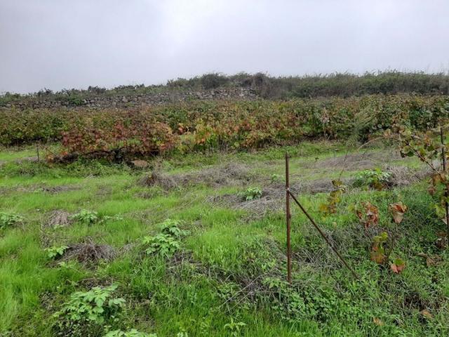 Terreno en venta en Santa Cruz De Tenerife, Canarias