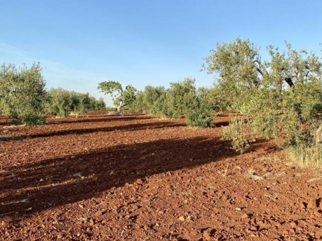 Terreno en venta en Tierra de Barros, Extremadura
