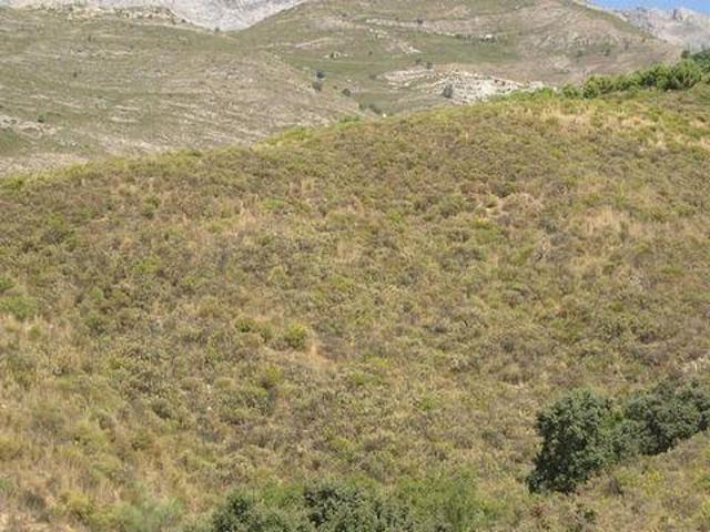 Terreno en venta en Sedella Terreno en venta en Sedella