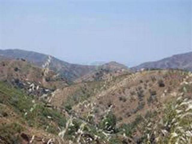 Terreno en venta en Sedella Terreno en venta en Sedella