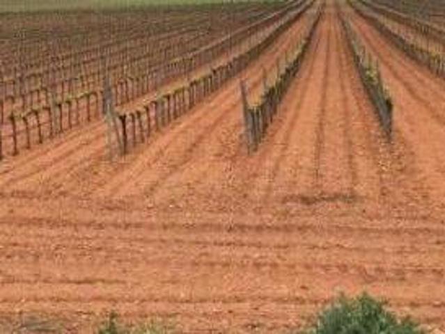 Terreno en venta en Socuéllamos, Castilla-La Mancha