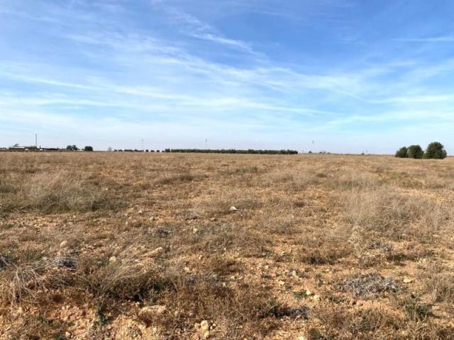 Terreno en venta en Socuéllamos, Castilla-La Mancha