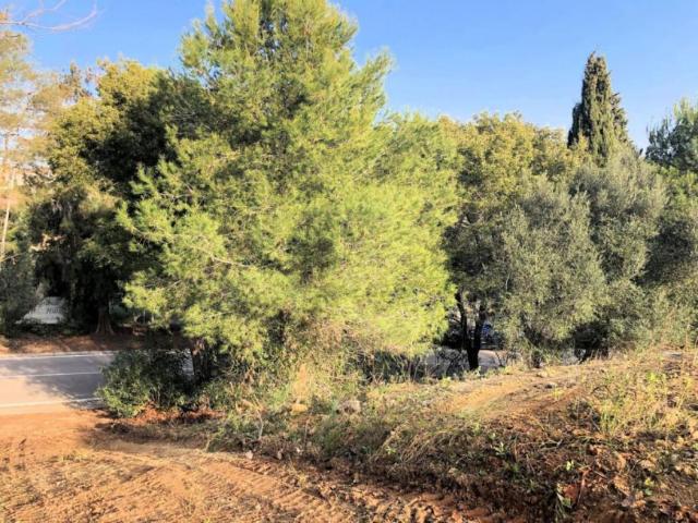 Terreno en venta en Sotogrande, Campo de Gibraltar