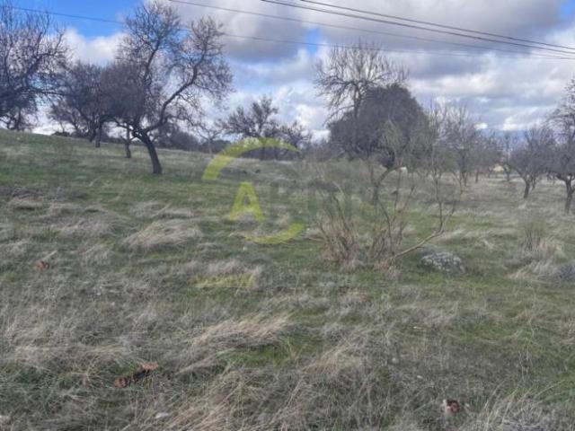 Terreno en venta en Toledo, Castilla-La Mancha