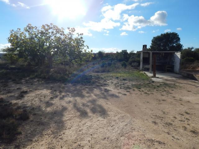 Terreno en venta en el Mas de Pavia, la Ribera Alta