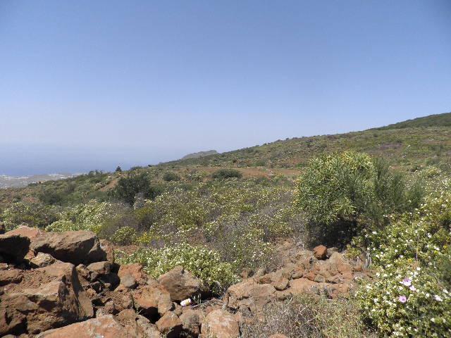 Terreno en venta en La orotava, Canarias