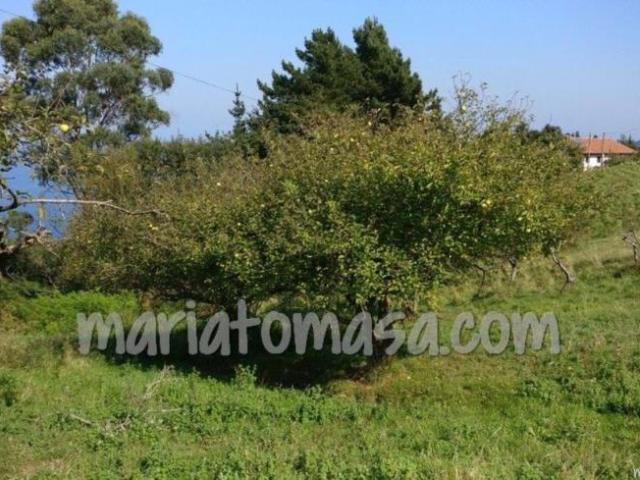 Terreno en venta en Parque Científico y Tecnológico de Bizkaia, Derio