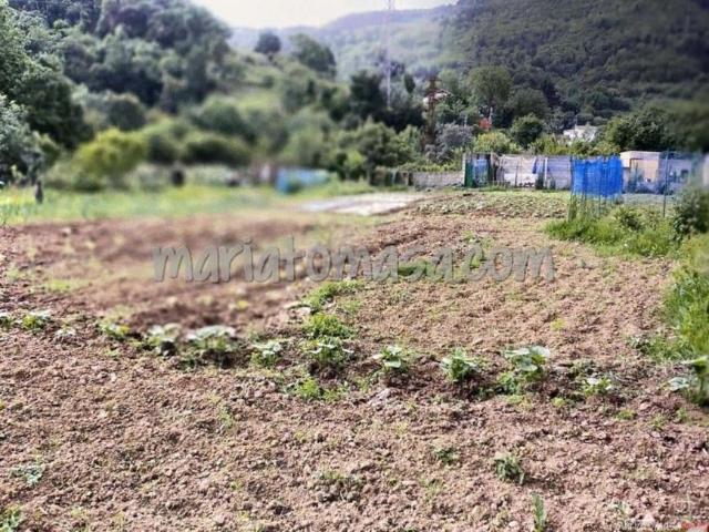 Terreno en venta en Parque Científico y Tecnológico de Bizkaia, Derio