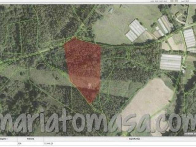 Terreno en venta en Parque Científico y Tecnológico de Bizkaia, Derio
