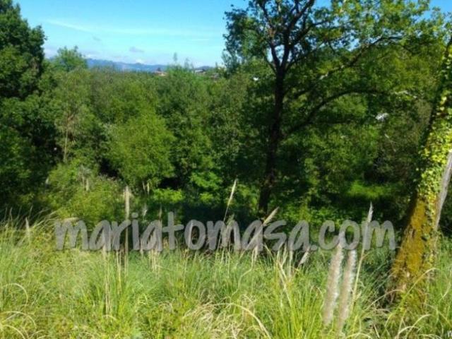Terreno en venta en Parque Científico y Tecnológico de Bizkaia, Derio