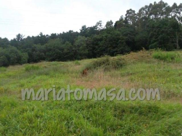 Terreno en venta en Parque Científico y Tecnológico de Bizkaia, Derio