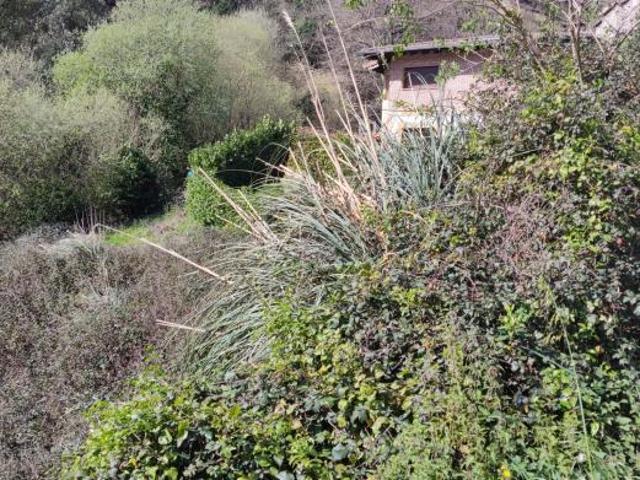 Terreno en venta en Parque Científico y Tecnológico de Bizkaia, Derio