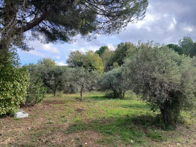 Terrain vente à France métropolitaine, Ventabren