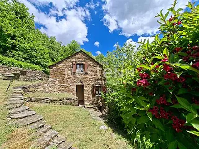 Maison vente à Florac, Saint-frézal-de-ventalon